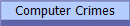 Computer Crimes